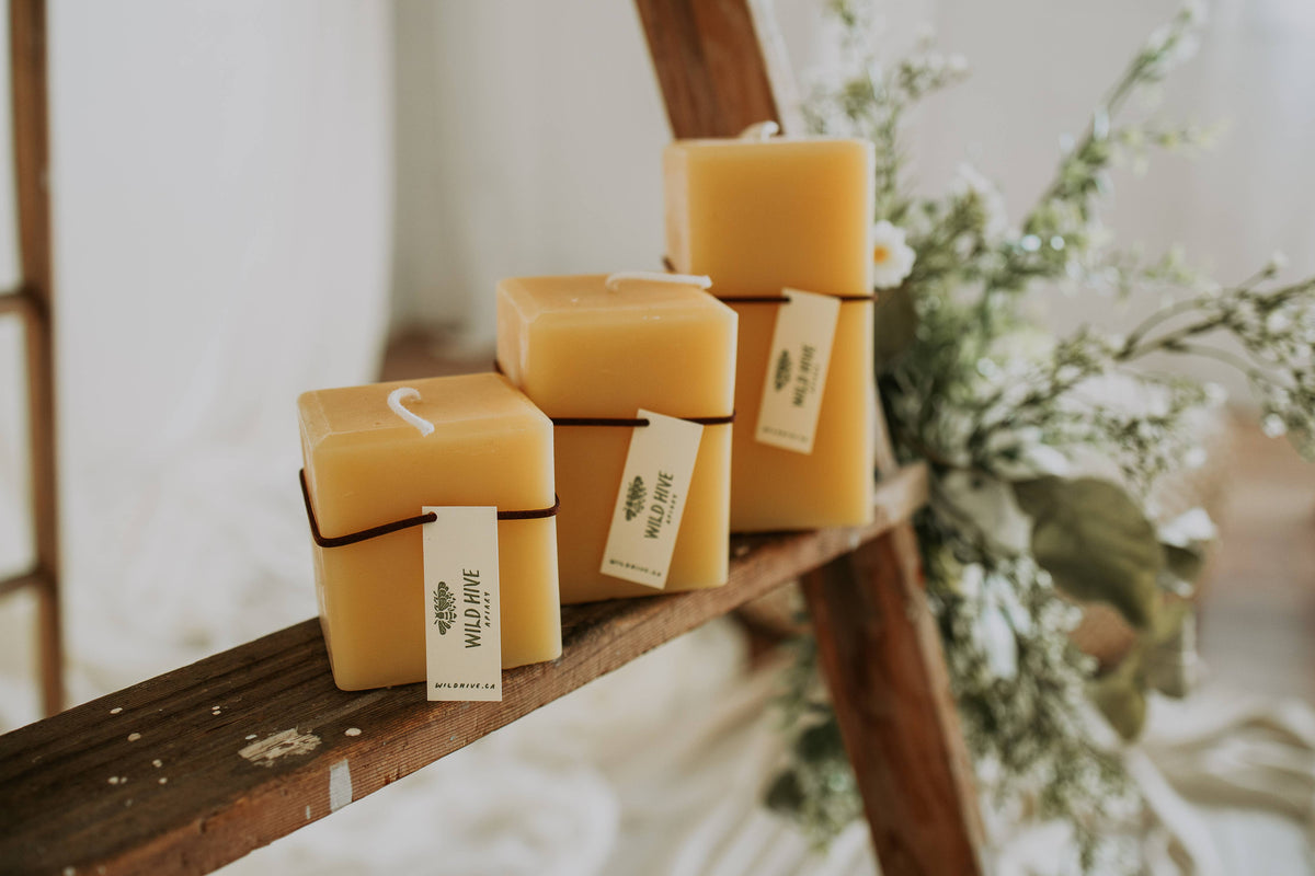 Wild Hive Apiary - Medium Square