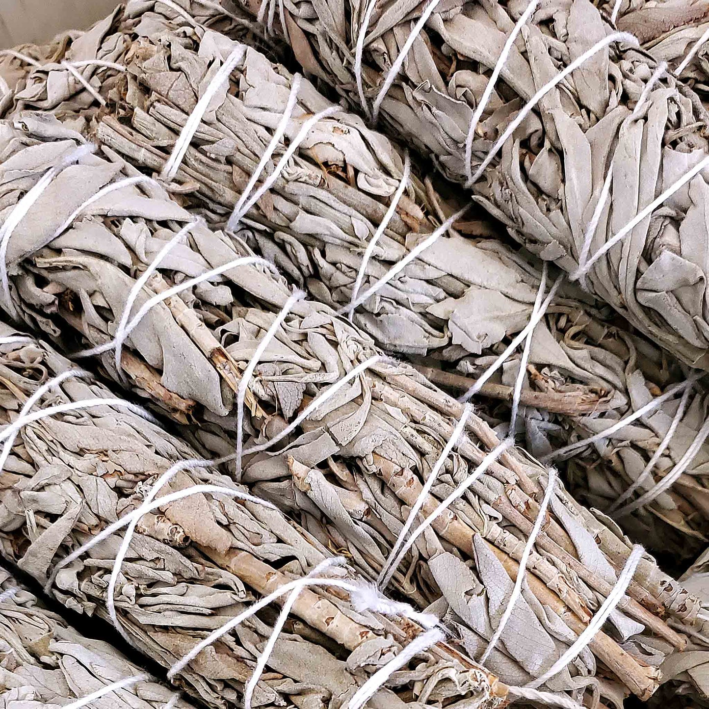 Monague Indigenous Crafts & Gifts - 24-piece Bulk Smudges: Small Sage