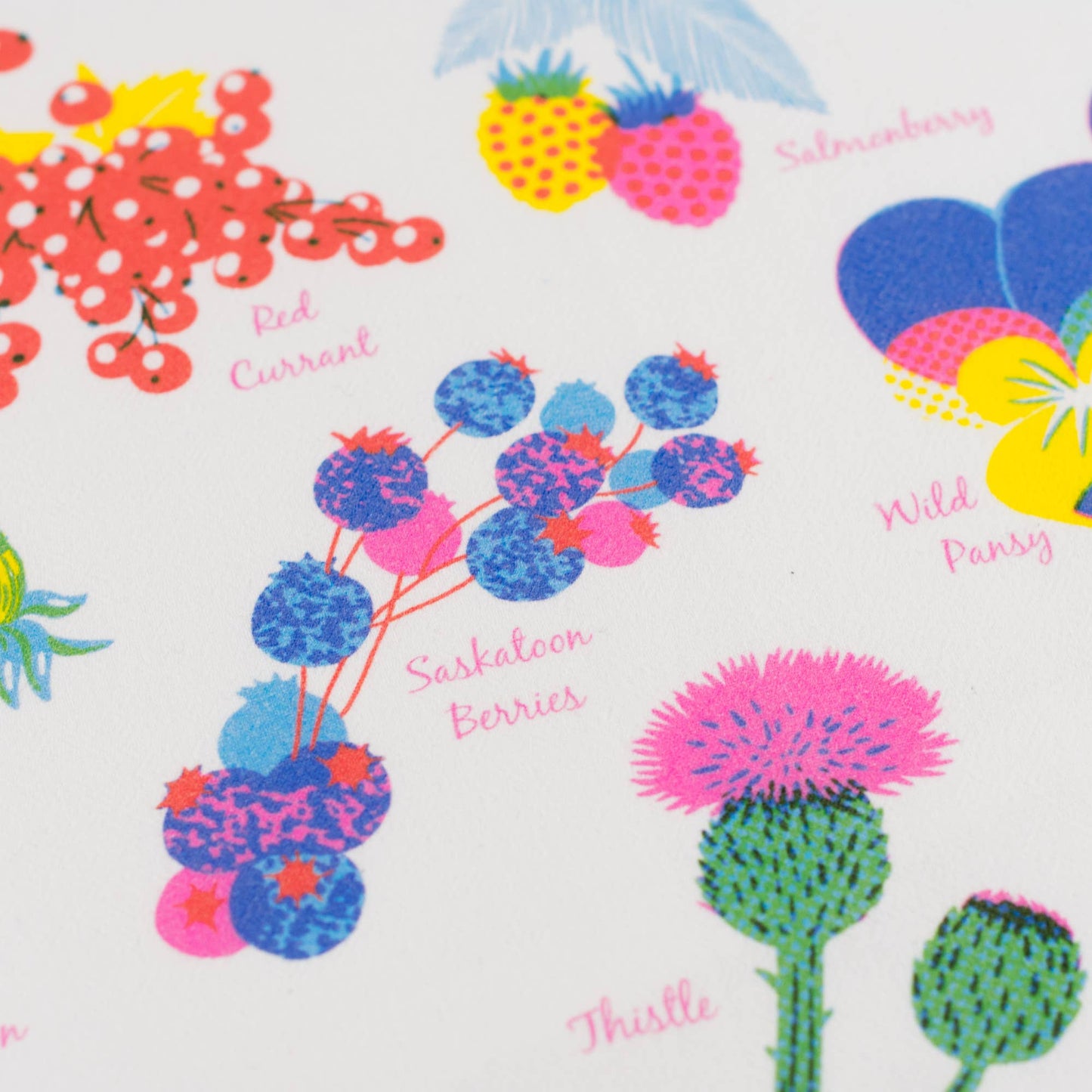 Porchlight Press Letterpress - Vibrant Life Series - Herbals Tea Towel