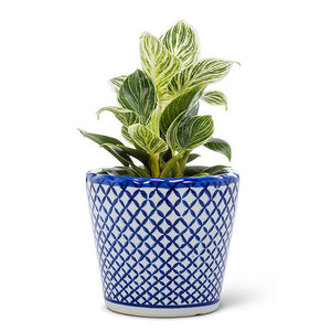 Cross Hatch Planter - Blue and White 5 inch