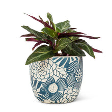 Load image into Gallery viewer, Hippie Flower Planter Blue &amp; Green
