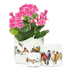 Planter, 6.5 Inch, Large Birds on Wire