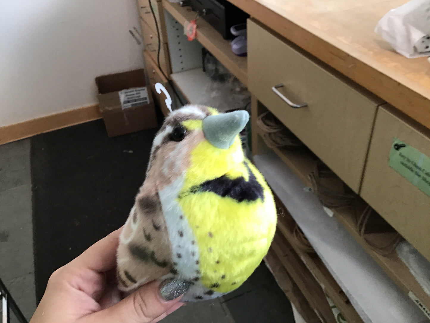 Western Meadowlark Plush