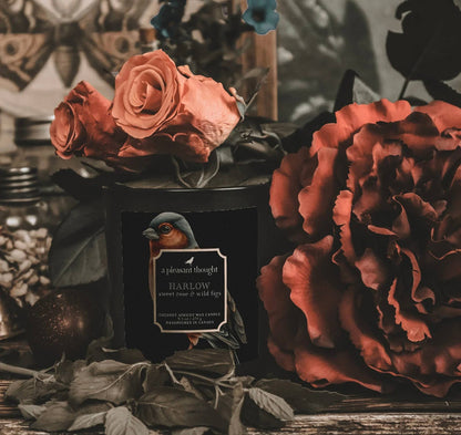 A Pleasant Thought - HARLOW | SWEET ROSE & WILD FIGS | RAVEN CANDLE: Cotton