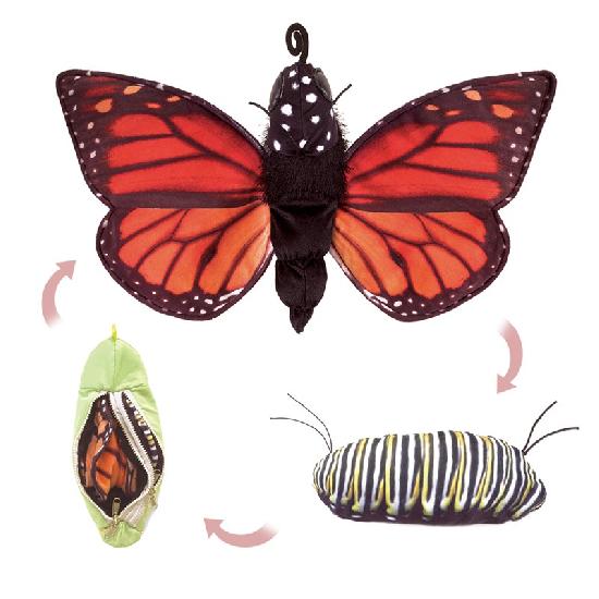 Puppet Monarch Butterfly Life Cycle