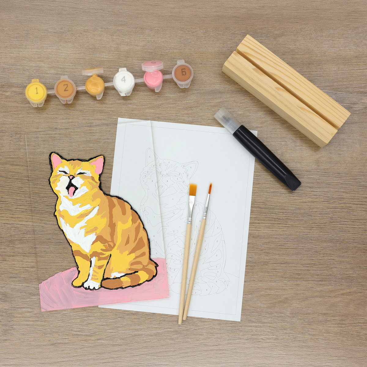 pierrebelvedere.com - PAINT BY NUMBER ACRYLIC SURFACE KIT- CAT