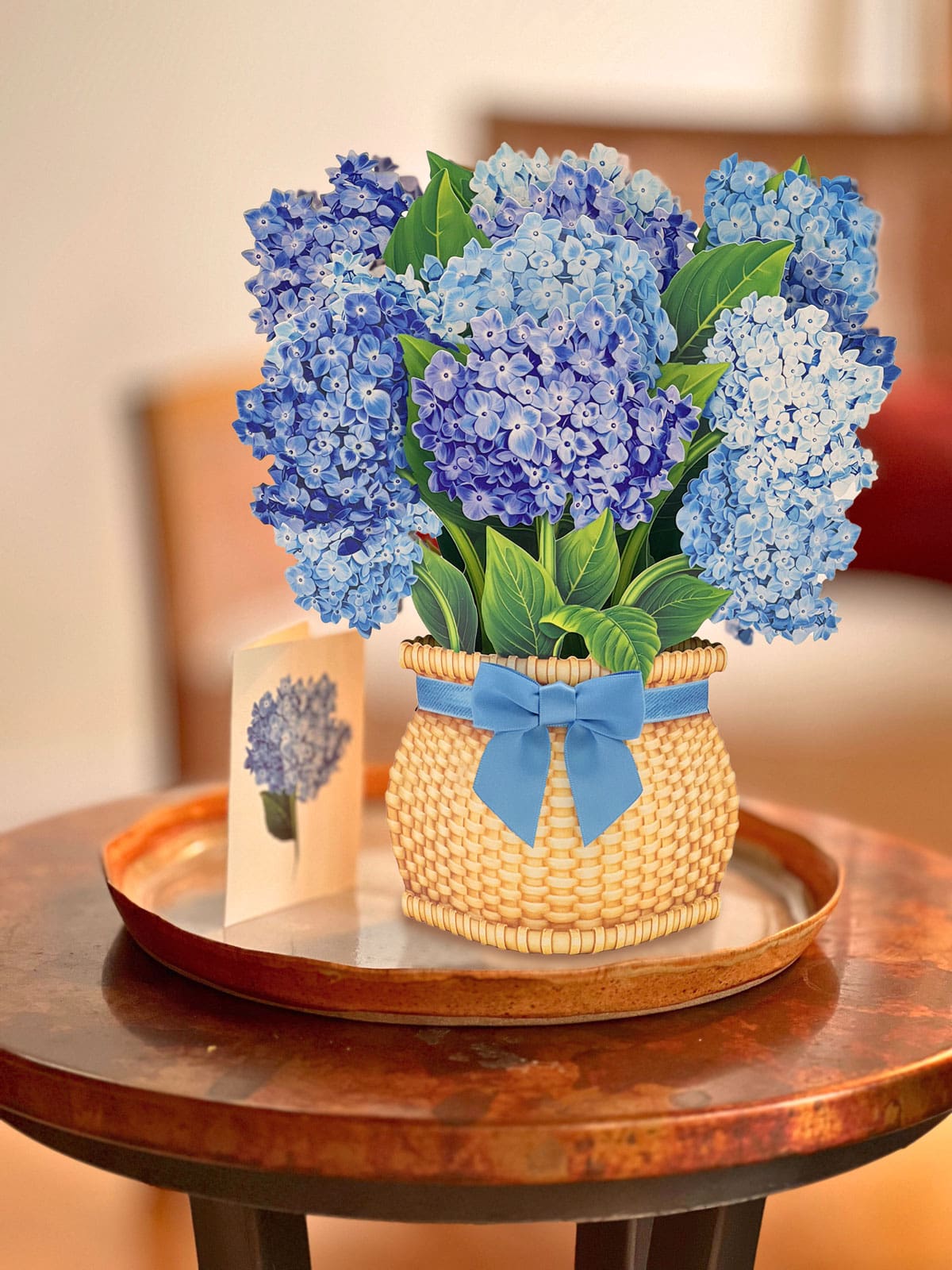 POPUP Nantucket Hydrangea