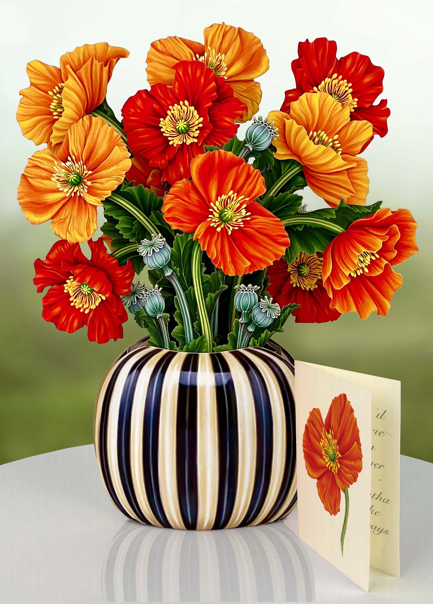 POPUP French Poppies