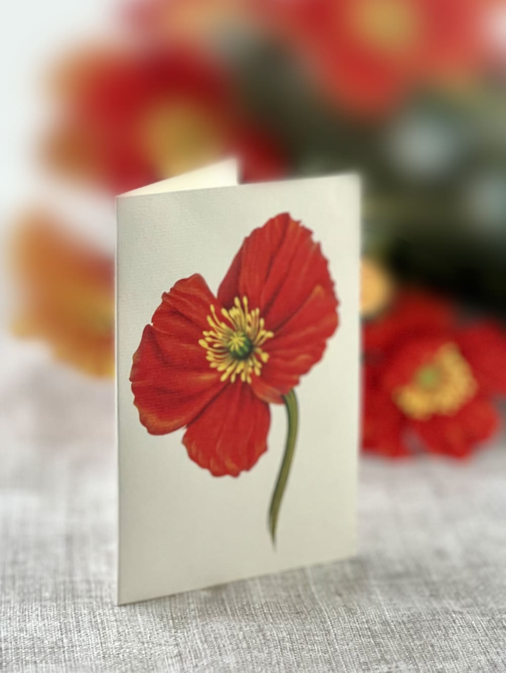 POPUP French Poppies