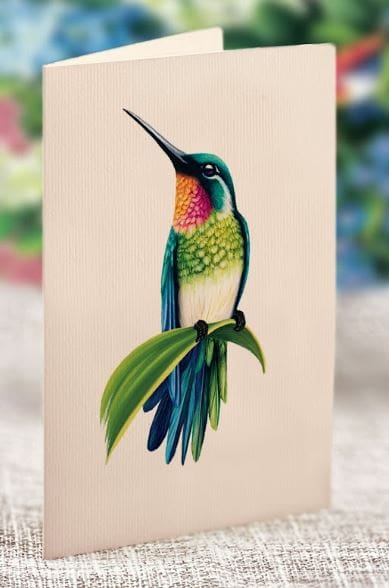 POPUP Hummingbird Oasis
