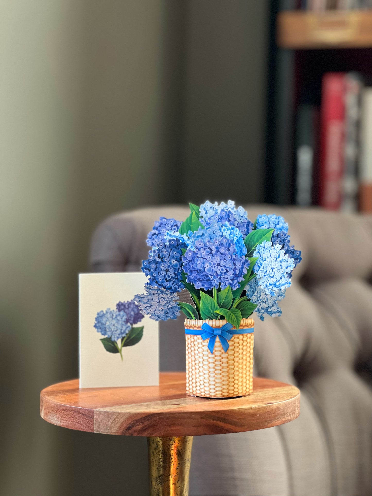 MINIPOPUP Nantucket Hydragea