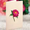 MINIPOPUP Peony Paradise