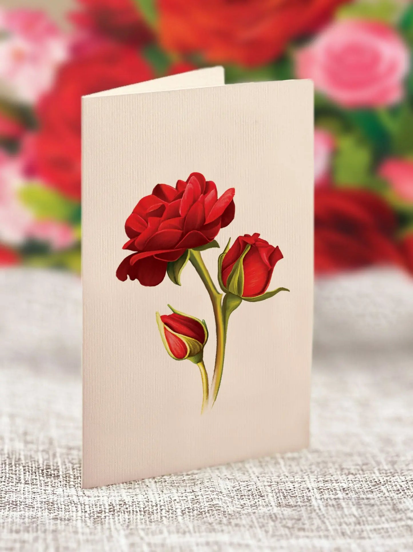POPUP Blooming Roses