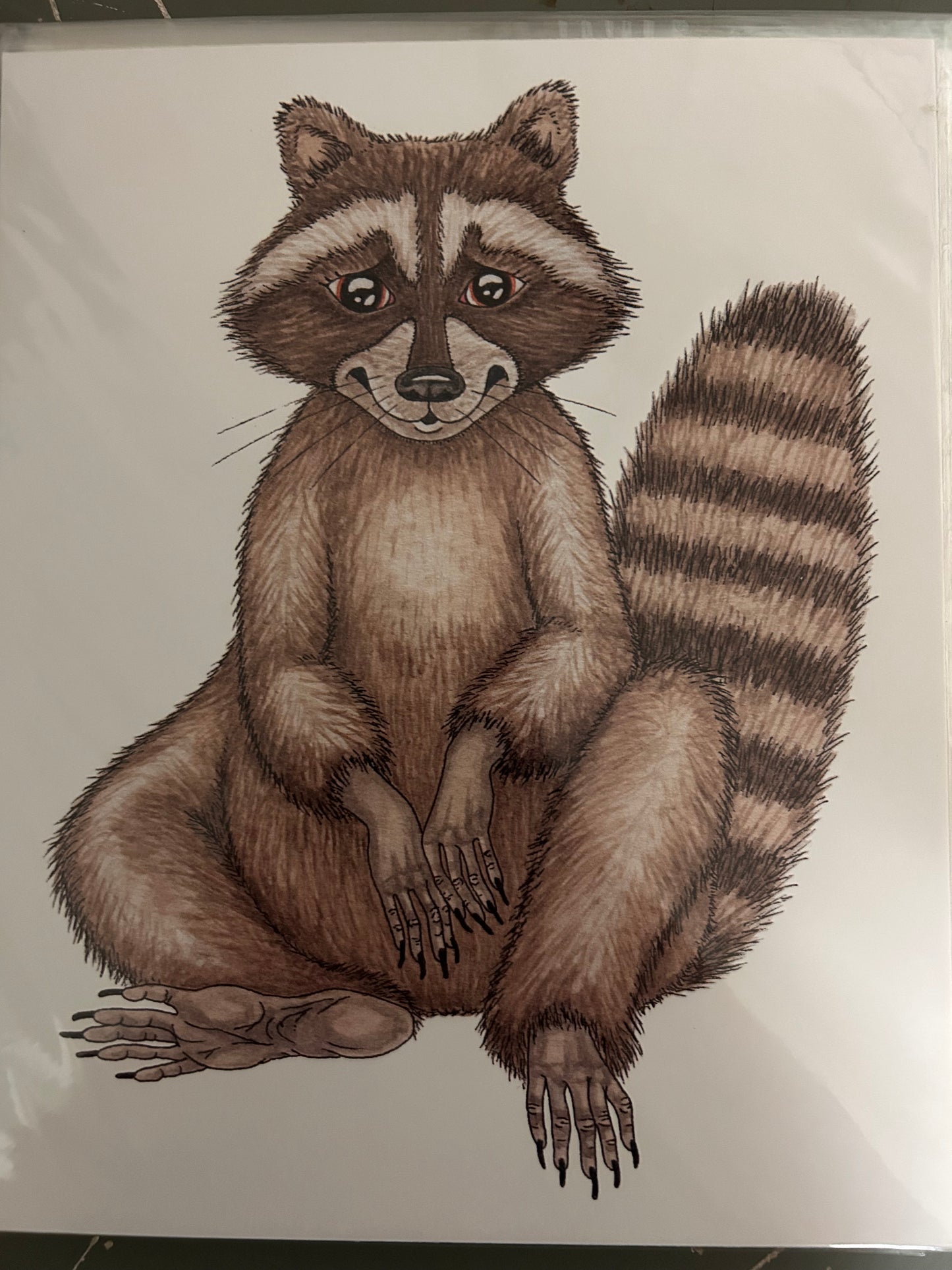 Art Print Raccoon 8 x 10