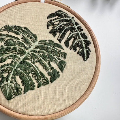 Mighty Monstera Mini Kit
