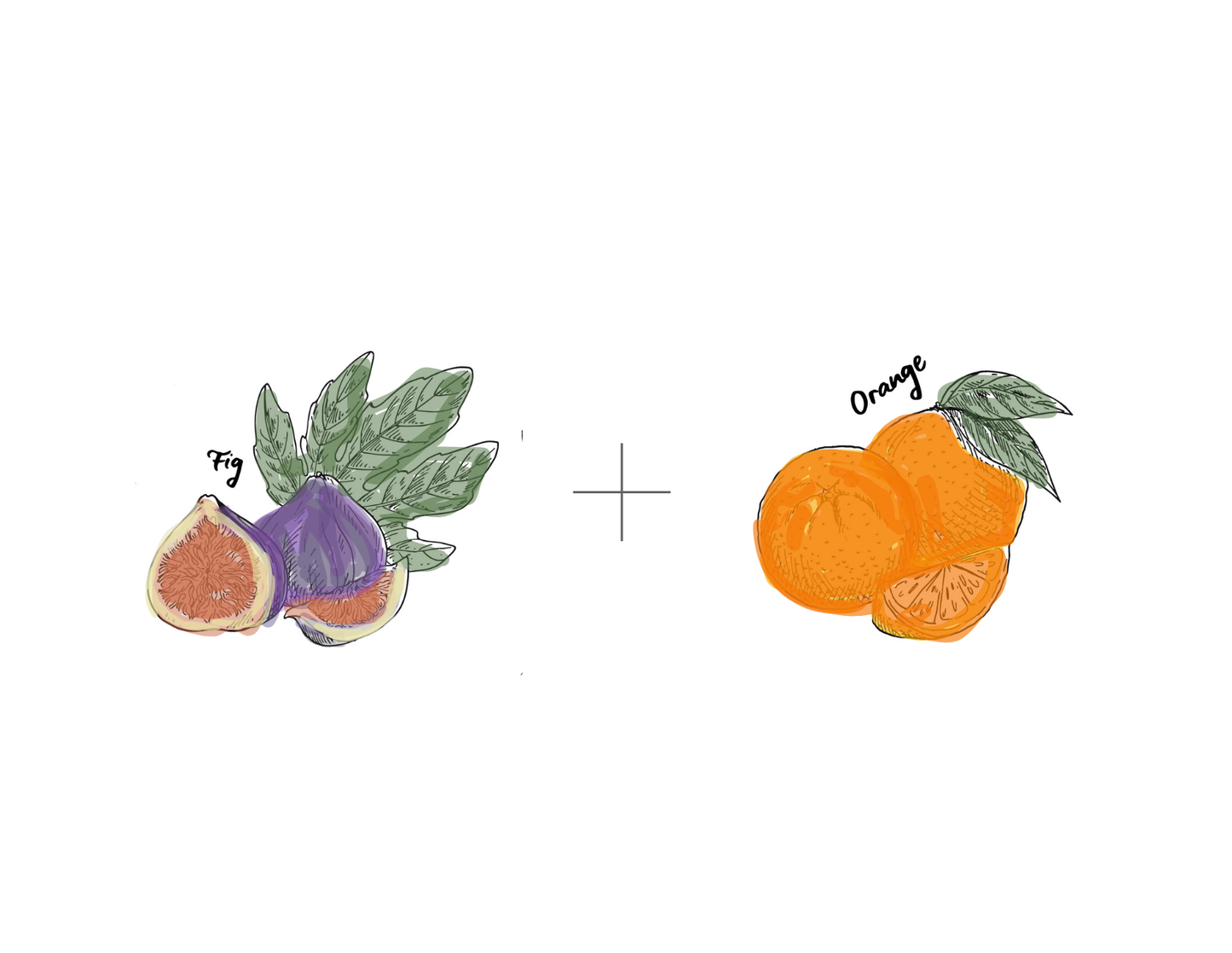 Heritage Bee Co. - Fig & Orange Creamed Honey