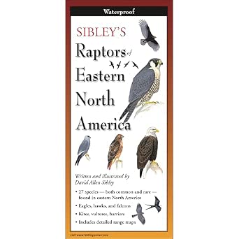 Sibley’s Raptors of Eastern North America Folding Guide