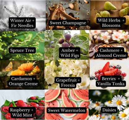 A Pleasant Thought - Flowers | Car Diffuser: Ripe Berries + Citrus