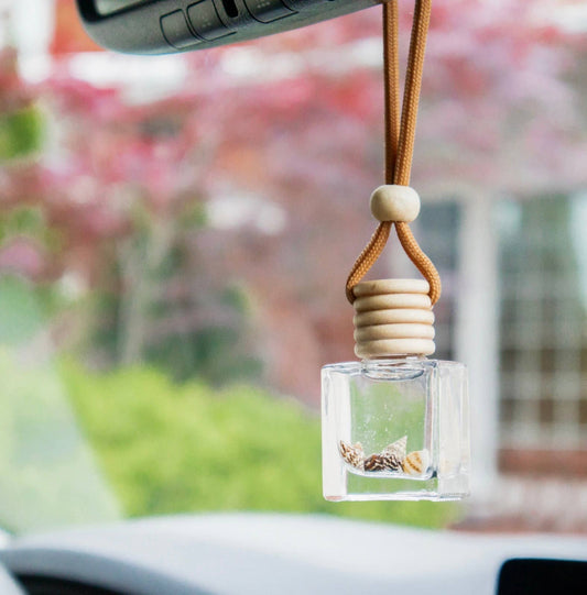A Pleasant Thought - SEASHELLS | CAR DIFFUSER: Spiced Sandalwood