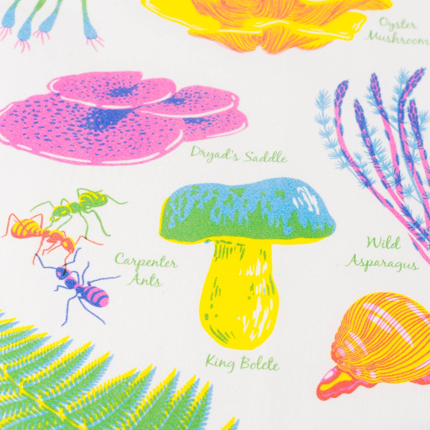 Porchlight Press Letterpress - Vibrant Life Series - Forest Floor Tea Towel