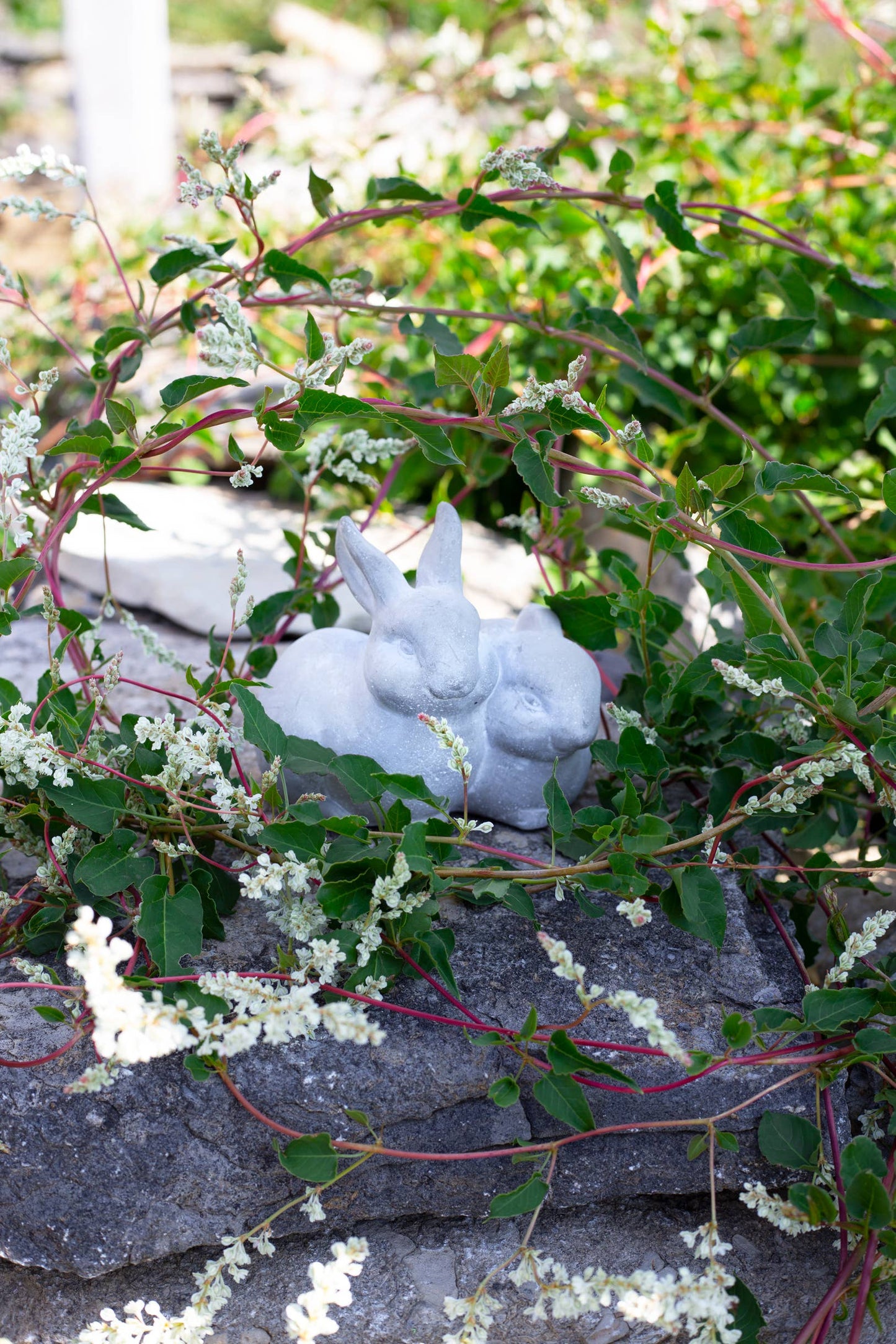 Bacon Basketware - CEMENT RABBITS: Cement