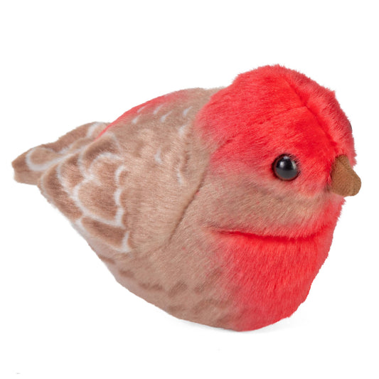 Wild Republic - Audubon II House Finch Stuffed Animal W Sound 5.5"