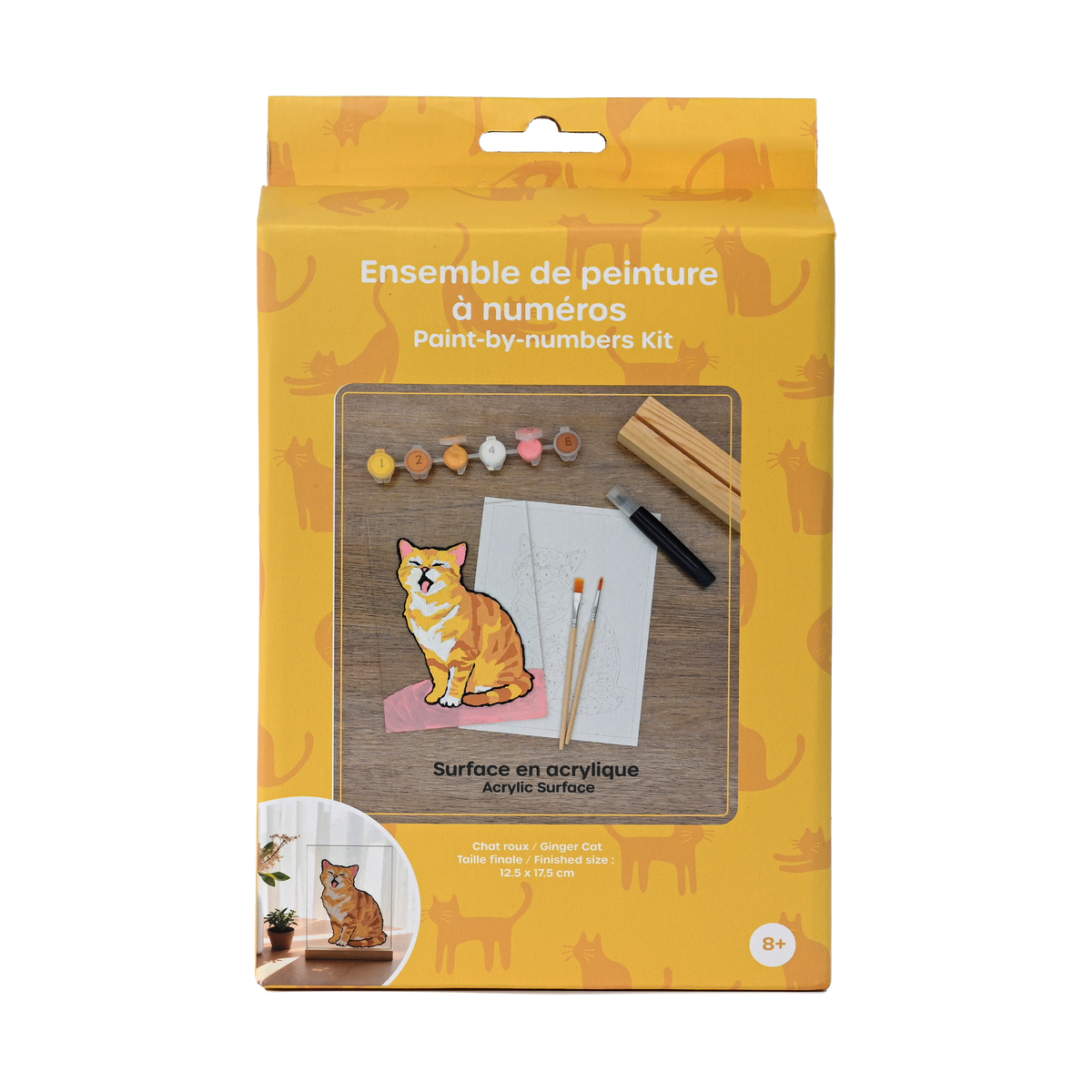 pierrebelvedere.com - PAINT BY NUMBER ACRYLIC SURFACE KIT- CAT