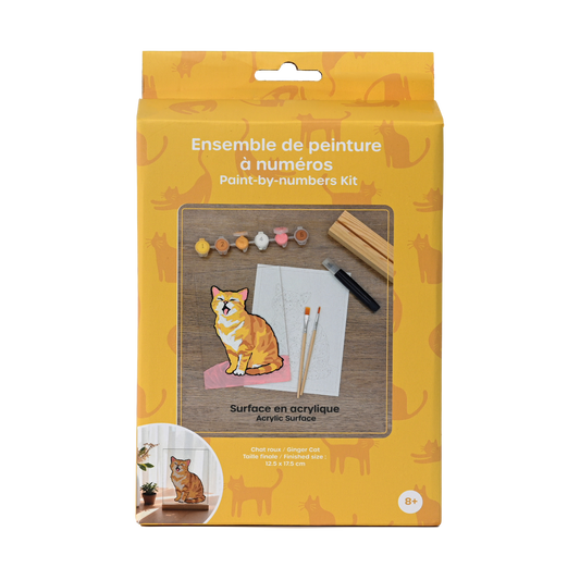 pierrebelvedere.com - PAINT BY NUMBER ACRYLIC SURFACE KIT- CAT