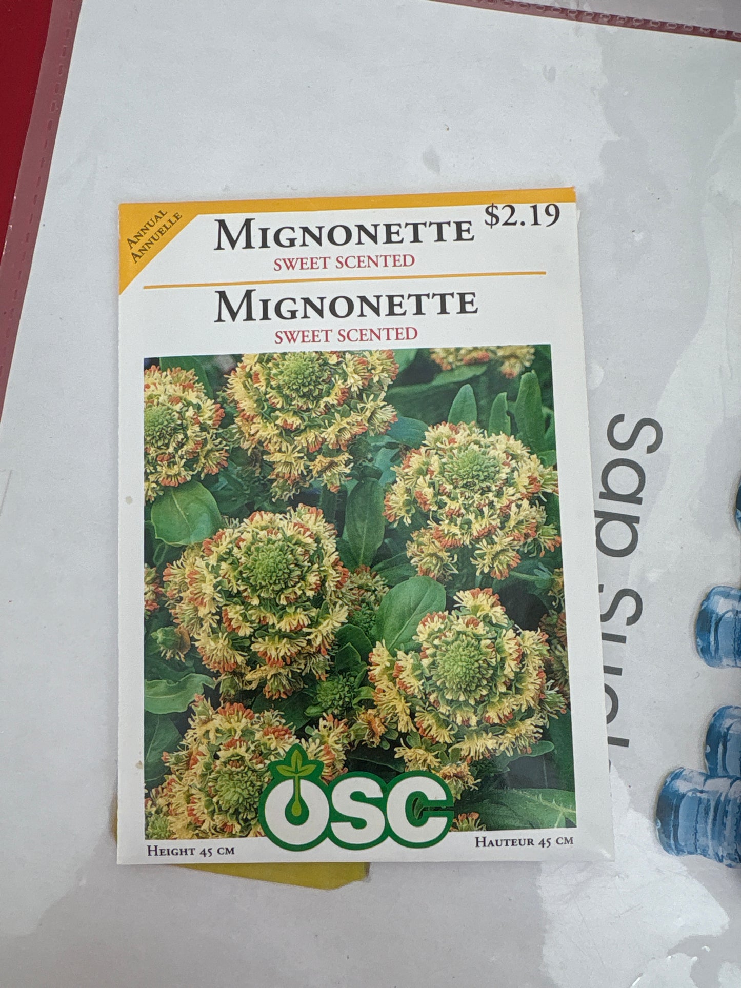 Mignonette Sweet Scented Seeds