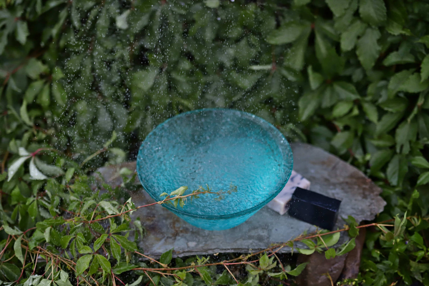 Blooming Wild Botanicals - Charcoal Lemongrass Coconut Milk Soap | Clarifying