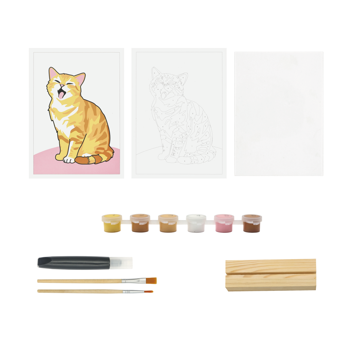 pierrebelvedere.com - PAINT BY NUMBER ACRYLIC SURFACE KIT- CAT