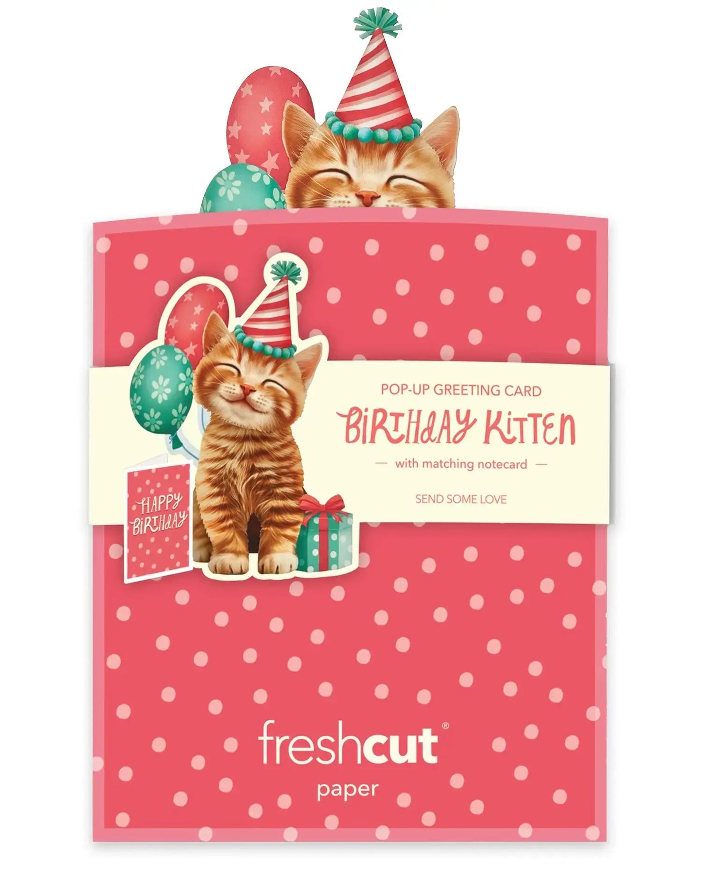 MINIPOPUP Birthday Kitten