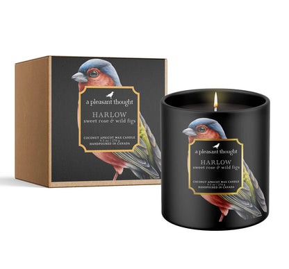 A Pleasant Thought - HARLOW | SWEET ROSE & WILD FIGS | RAVEN CANDLE: Cotton