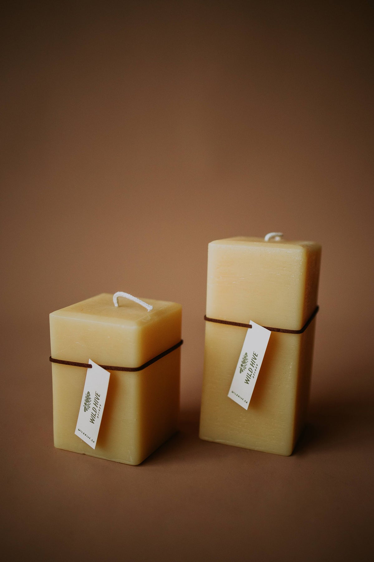 Wild Hive Apiary - Medium Square