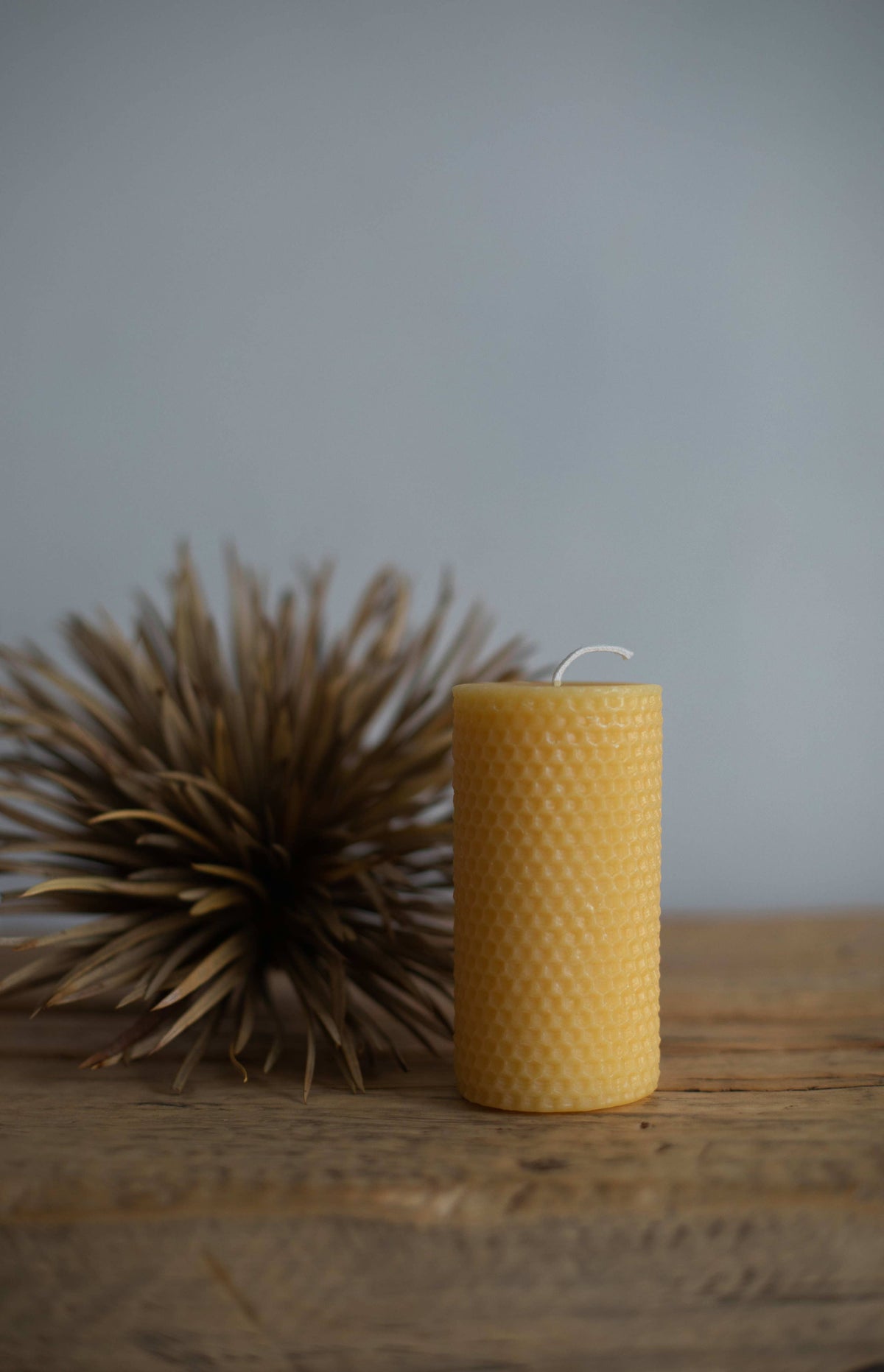 Wild Hive Apiary - Honeycomb Cylinder