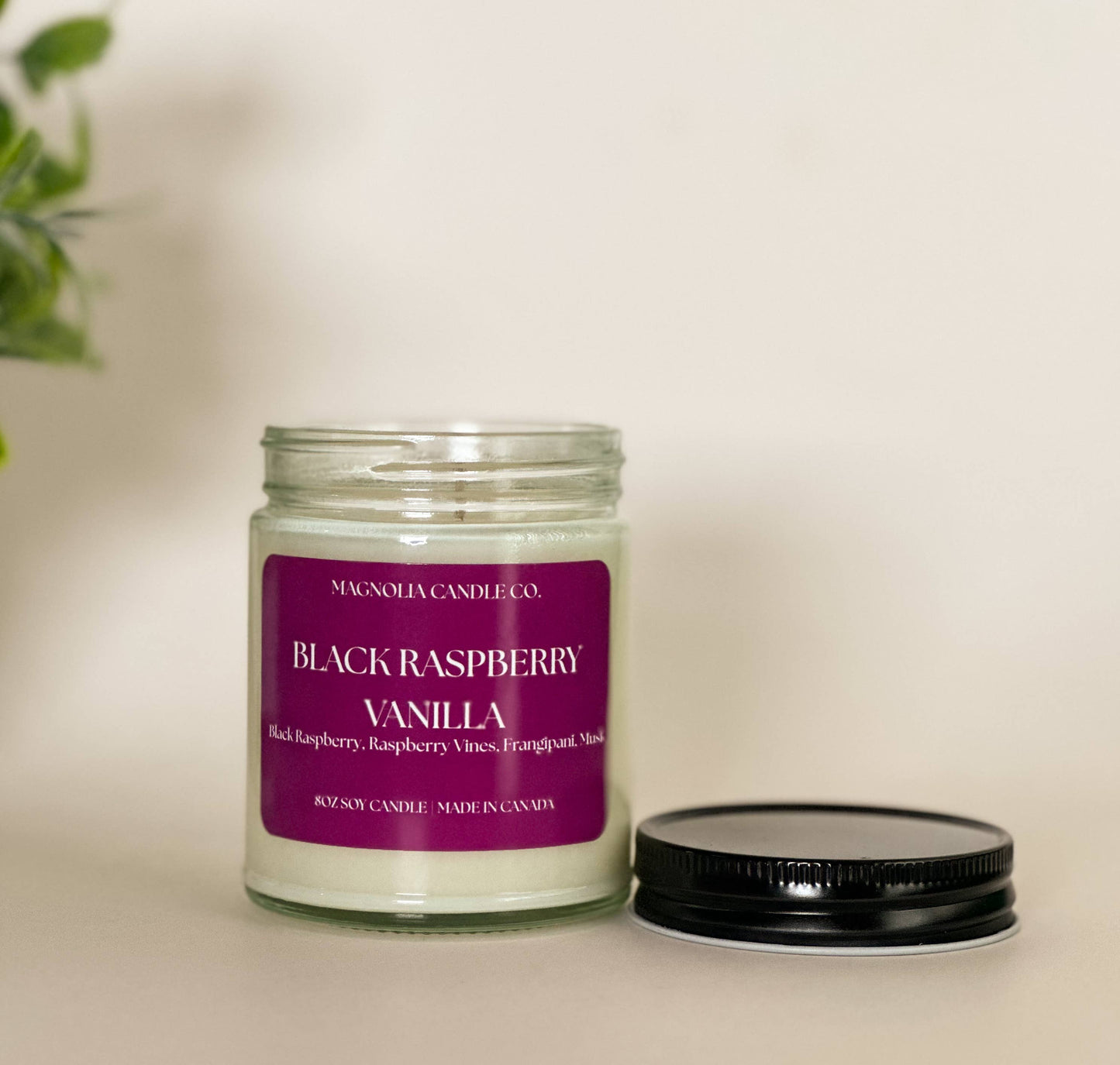 Magnolia Candle Company - Black Raspberry Vanilla - Summer | Spring Candle 8oz