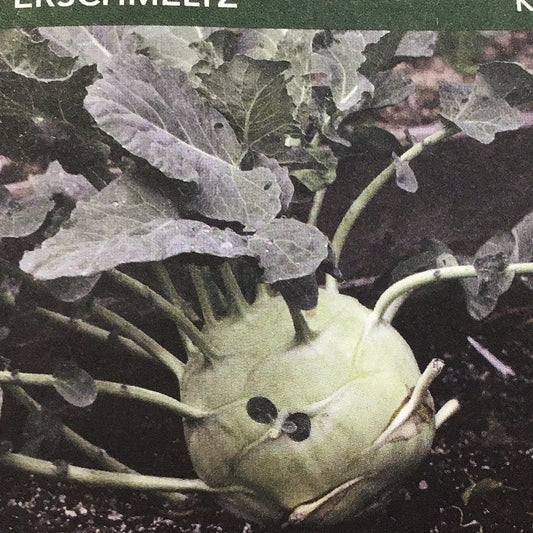 Kohlrabi Superschmeltz