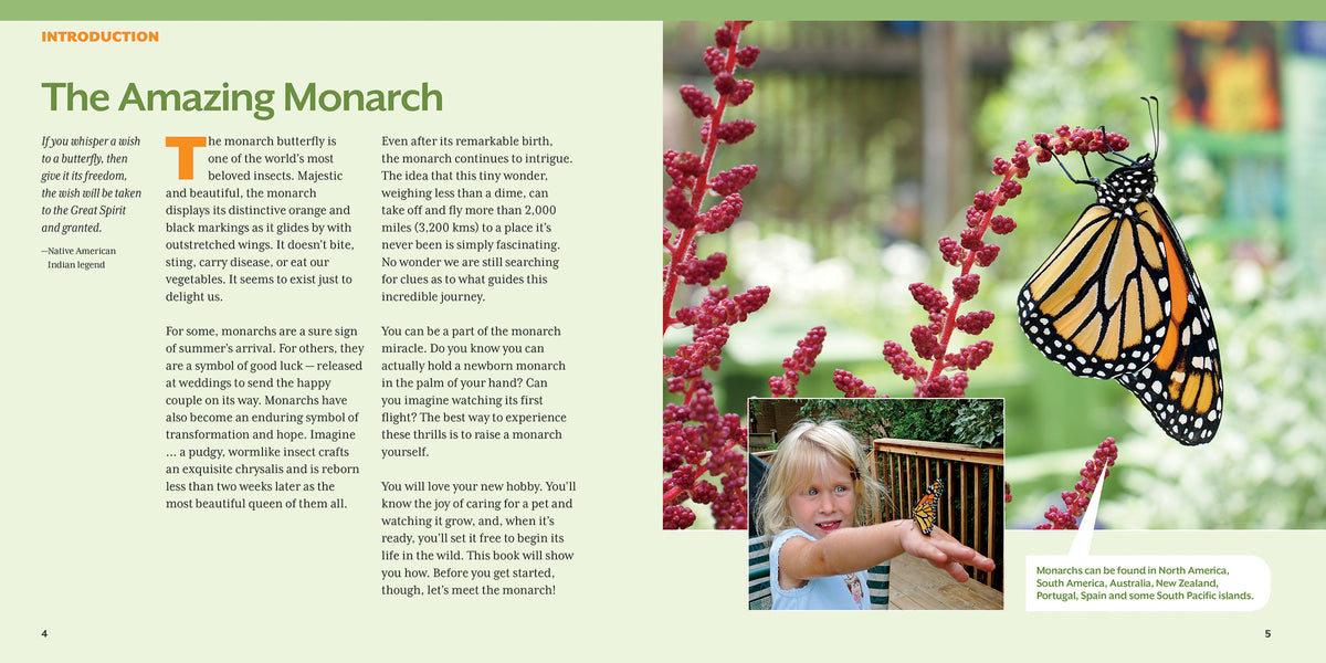 How to Raise Monarch Butterflies : A Step-by-Step Guide for Kids