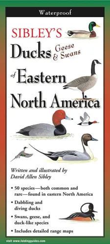 Sibley’s Ducks, Geese & Swans of Eastern North America Folding Guide - Book