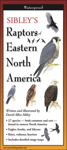 Sibley’s Raptors of Eastern North America Folding Guide - Book