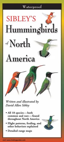 Sibley’s Hummingbirds of North America Folding Guide - Book