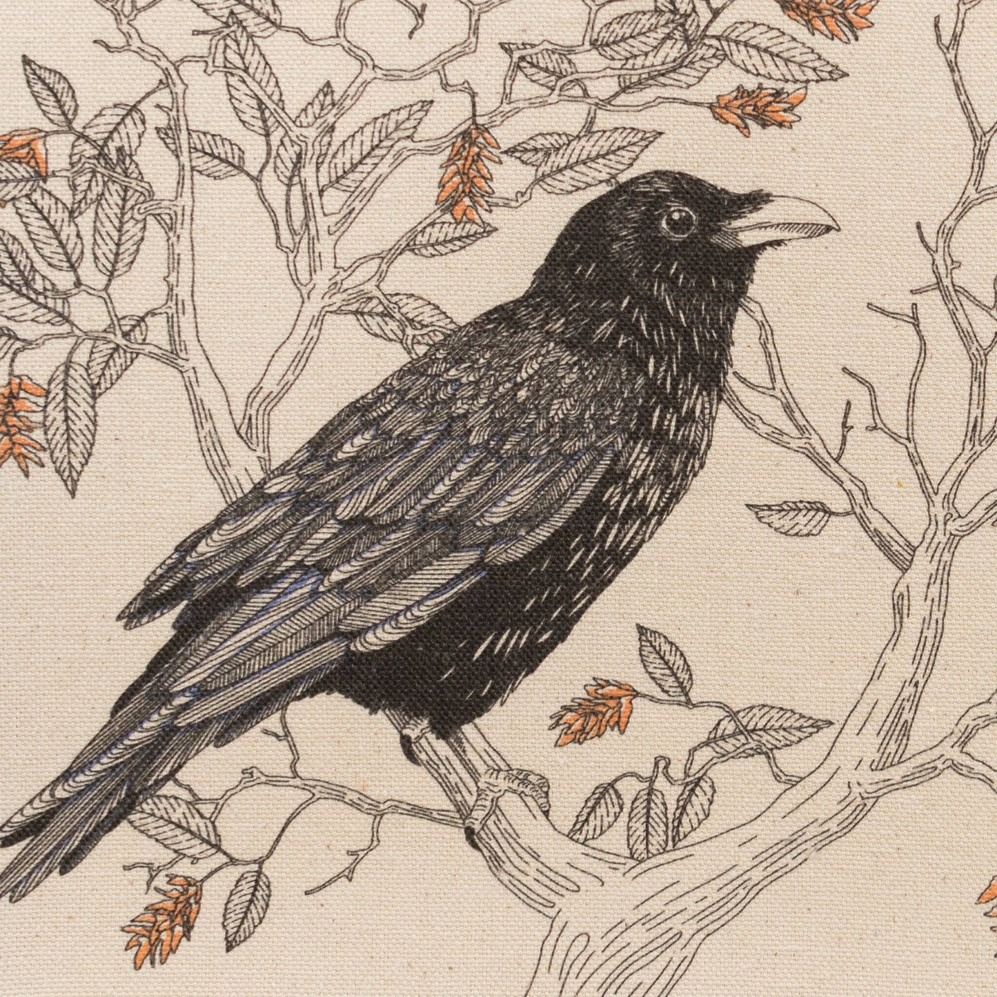 Porchlight Press Letterpress - Tote Bag: Common Raven
