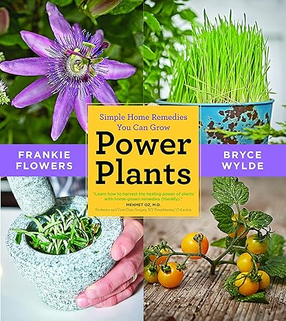 Power Plants by Frankie Flowers and Bryce Wylde