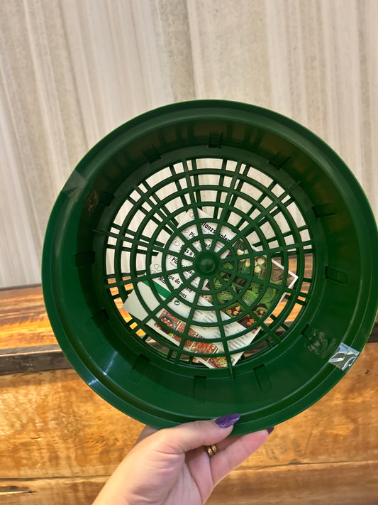 Plastic Bulb Planting Trays
