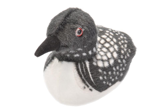 Audubon Birds Common Loon