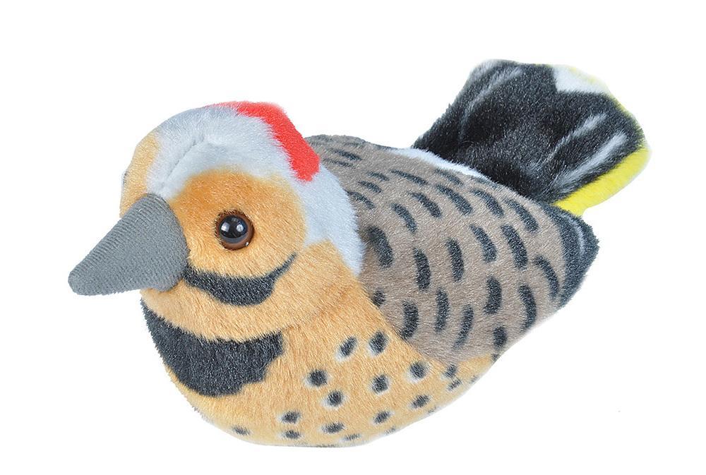 Audubon Birds Northern Flicker