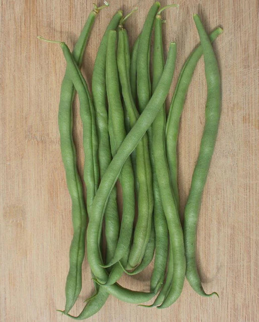 Bean Pole Bean Seeds Matilda