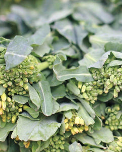 Sorrento Broccoli Raab