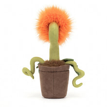 Load image into Gallery viewer, Carniflore Tammie by JellyCat
