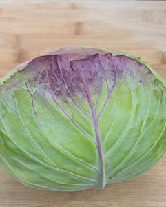 Taiwan Cabbage